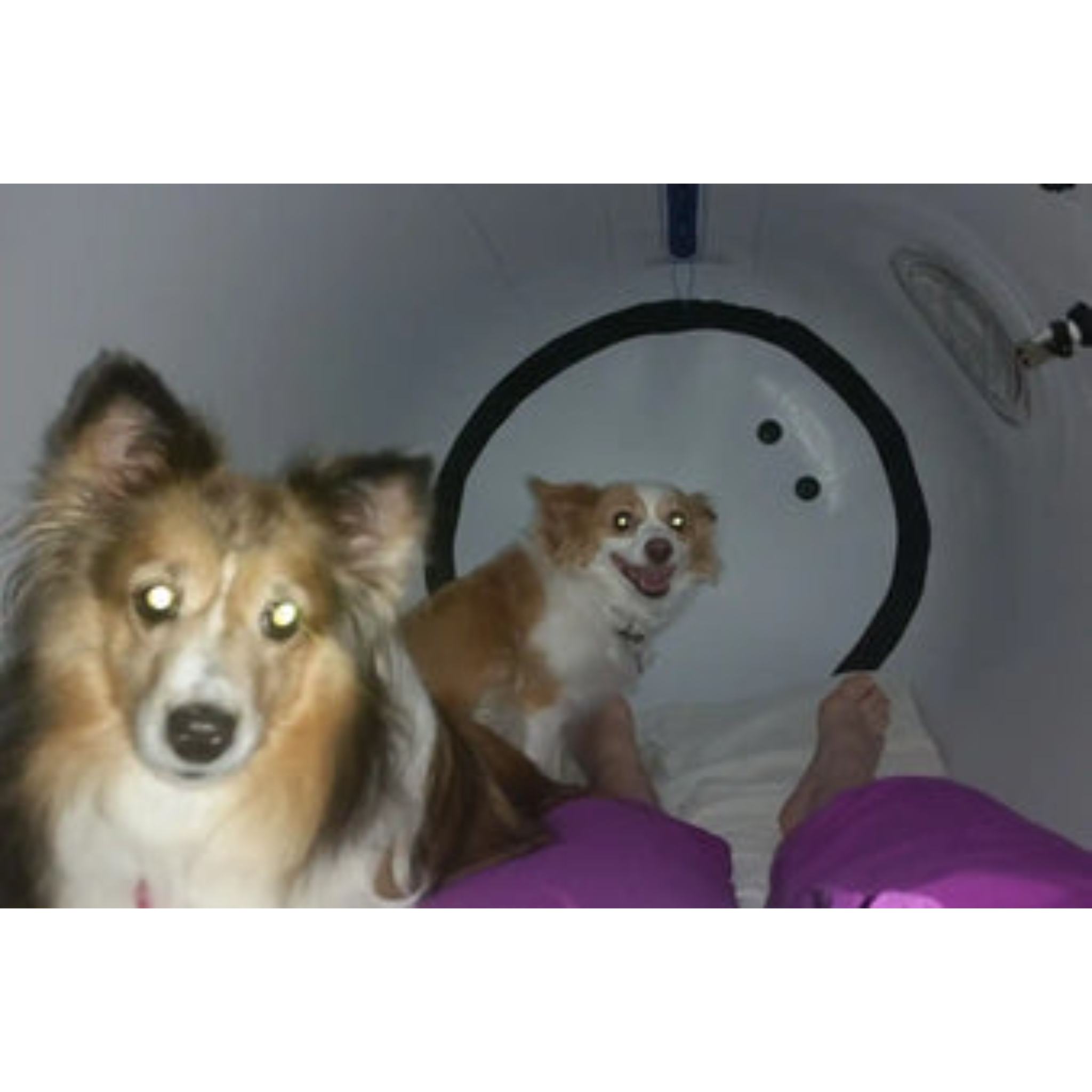 Newtowne C4-34 Hyperbaric Chamber